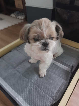 민우다빈이맘님이 올린 리뷰 사진 3