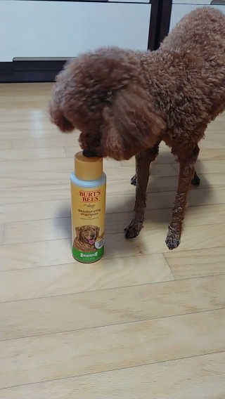 너구리양님이 올린 리뷰 사진 3