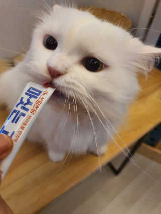 검은기름님이 올린 리뷰 사진 3