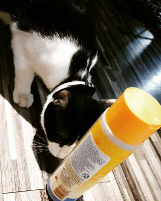 퓨리아님이 올린 리뷰 사진 3