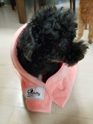 고옴이님이 올린 리뷰 사진 3