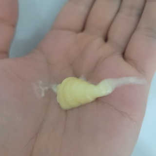왕좌늼님이 올린 리뷰 사진 3