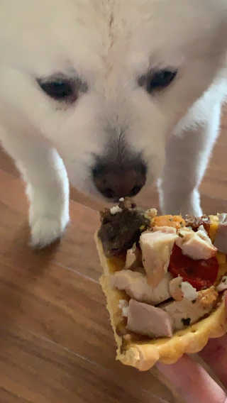 녕쨩님이 올린 리뷰 사진 3