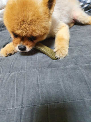 성유진님이 올린 리뷰 사진 3