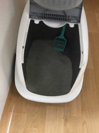 겟플렉스 켓플렉스 캣츠룸BS-1 고양이모래 4kg — 4.5점을 준 리뷰어가 2020년 12월 올린 사용 사진