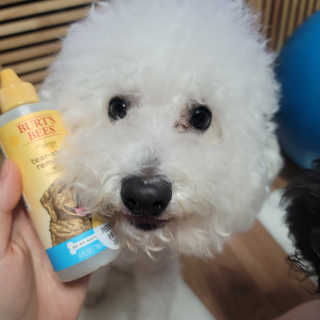 ❤꼬네우니🧡님이 올린 리뷰 사진 2
