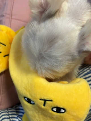 토리님이 올린 리뷰 사진 3