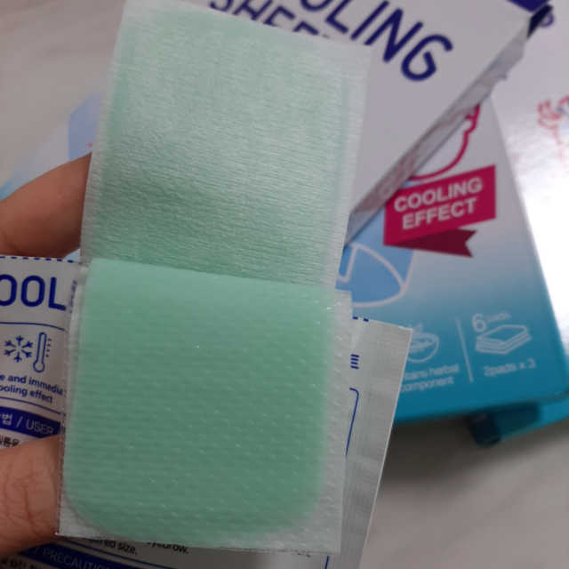 아이스팩 대신 이지팜 쿨링시트 리뷰 사진