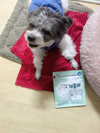 My Pet Care 천연단백질 눈건강에 개좋아 — 5점을 준 리뷰어가 2020년 12월 올린 사용 사진