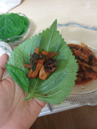 oiho님이 올린 리뷰 사진 4