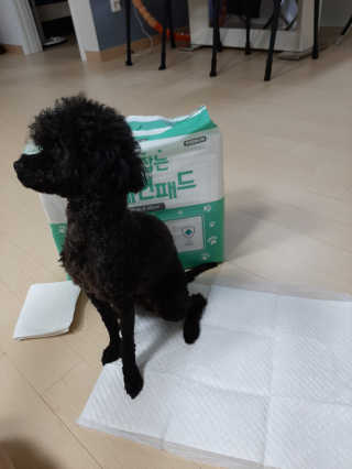 꼬몽님이 올린 리뷰 사진 1