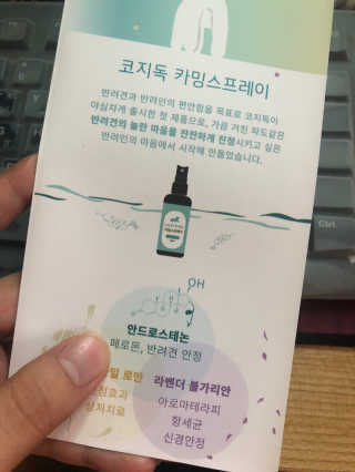 시루파파님이 올린 리뷰 사진 3