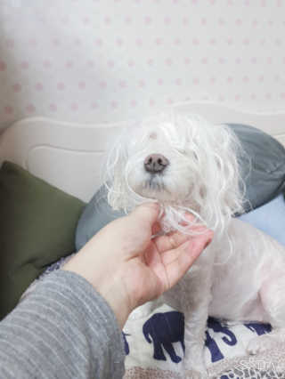 두부님이 올린 리뷰 사진 4