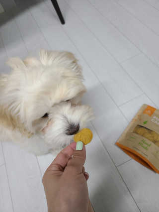 ppuni님이 올린 리뷰 사진 2