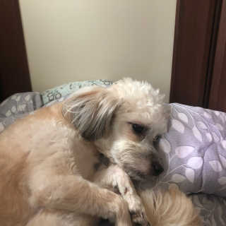 미니님이 올린 리뷰 사진 3