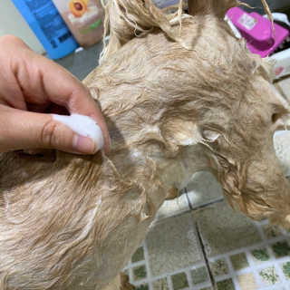 희공주님이 올린 리뷰 사진 3