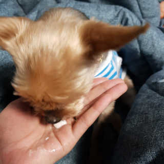Tiffff님이 올린 리뷰 사진 3