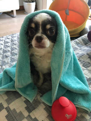 띠띠님이 올린 리뷰 사진 1