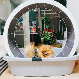 현둥잉님이 올린 리뷰 사진 2