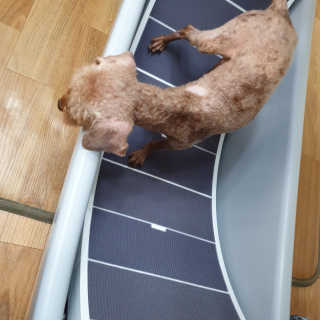 랭쑤님이 올린 리뷰 사진 3