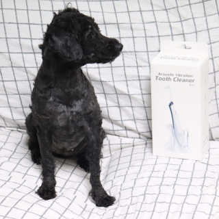 우와한언니님이 올린 리뷰 사진 4