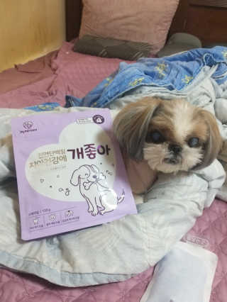 My Pet Care 천연단백질 치아건강에 개좋아 — 4점을 준 리뷰어가 2020년 11월 올린 사용 사진