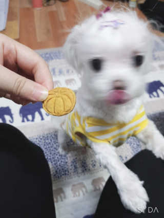 두부님이 올린 리뷰 사진 3