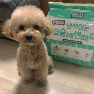 se0ngsu님이 올린 리뷰 사진 1