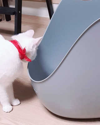 대박이님이 올린 리뷰 사진 2