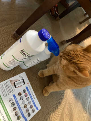 syjuknow님이 올린 리뷰 사진 2
