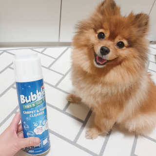 은선이짱님이 올린 리뷰 사진 3