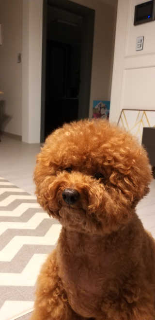 용용마마님이 올린 리뷰 사진 4