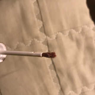 [블랙루즈] 펄블리 아이 글리터 유니버스 2종 — 2.5점을 준 리뷰어가 2020년 10월 올린 사용 사진