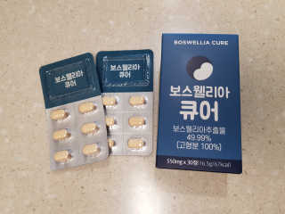 azalearosy님이 올린 리뷰 사진 1