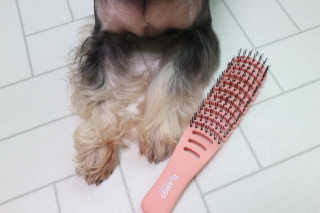 최정임님이 올린 리뷰 사진 3