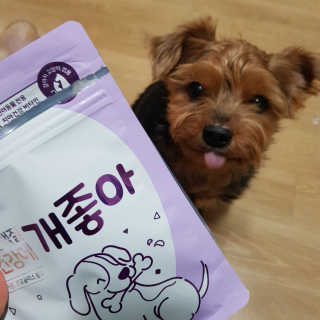 My Pet Care 천연단백질 치아건강에 개좋아 — 5점을 준 리뷰어가 2020년 12월 올린 사용 사진