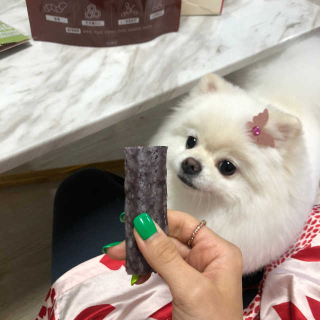 이케어 인섹트츄 리뷰 사진