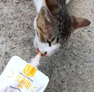 apo님이 올린 리뷰 사진 2