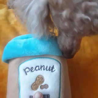 🐕삐딱이💖💖💖님이 올린 리뷰 사진 2