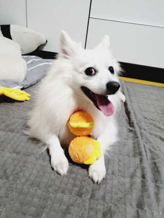 둥글이님이 올린 리뷰 사진 3