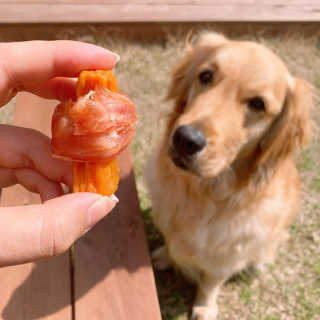 해피팡팡 고구마닭말이+고구마오리말이 [고구마간식2종] — 5점을 준 리뷰어가 2020년 4월 올린 사용 사진