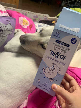 choiyeji님이 올린 리뷰 사진 2