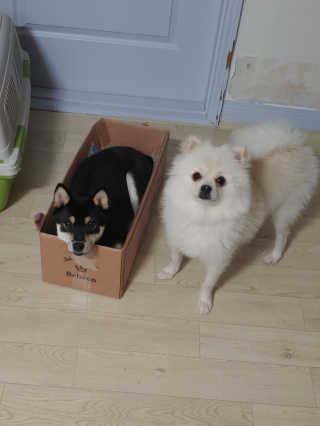 민댕이님이 올린 리뷰 사진 3
