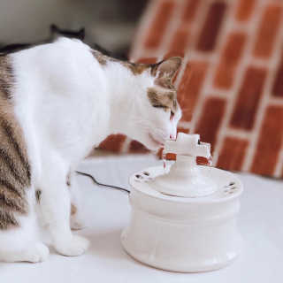 minahjjing님이 올린 리뷰 사진 1