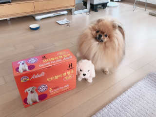 아롱이님이 올린 리뷰 사진 1