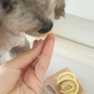 BlossomY님이 올린 리뷰 사진 3