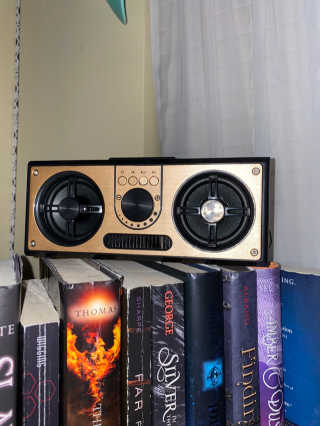 SEVIZ RETRO20W 레트로 블루투스 스피커 — 5점을 준 리뷰어가 2020년 10월 올린 사용 사진