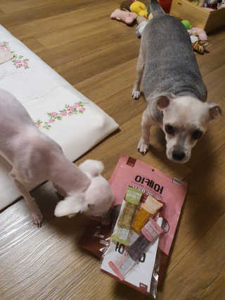 쮸동비님이 올린 리뷰 사진 1