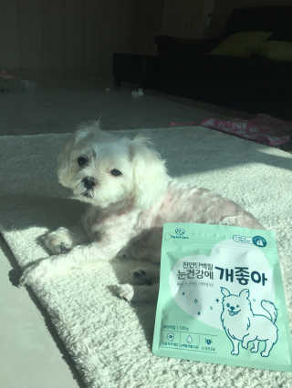 My Pet Care 천연단백질 눈건강에 개좋아 — 4.5점을 준 리뷰어가 2020년 12월 올린 사용 사진