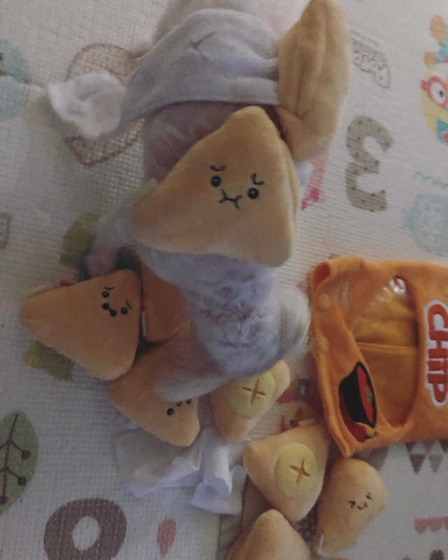 1일 1봉 멍초칩으로 슬기로운 노즈워크 생활 리뷰 사진